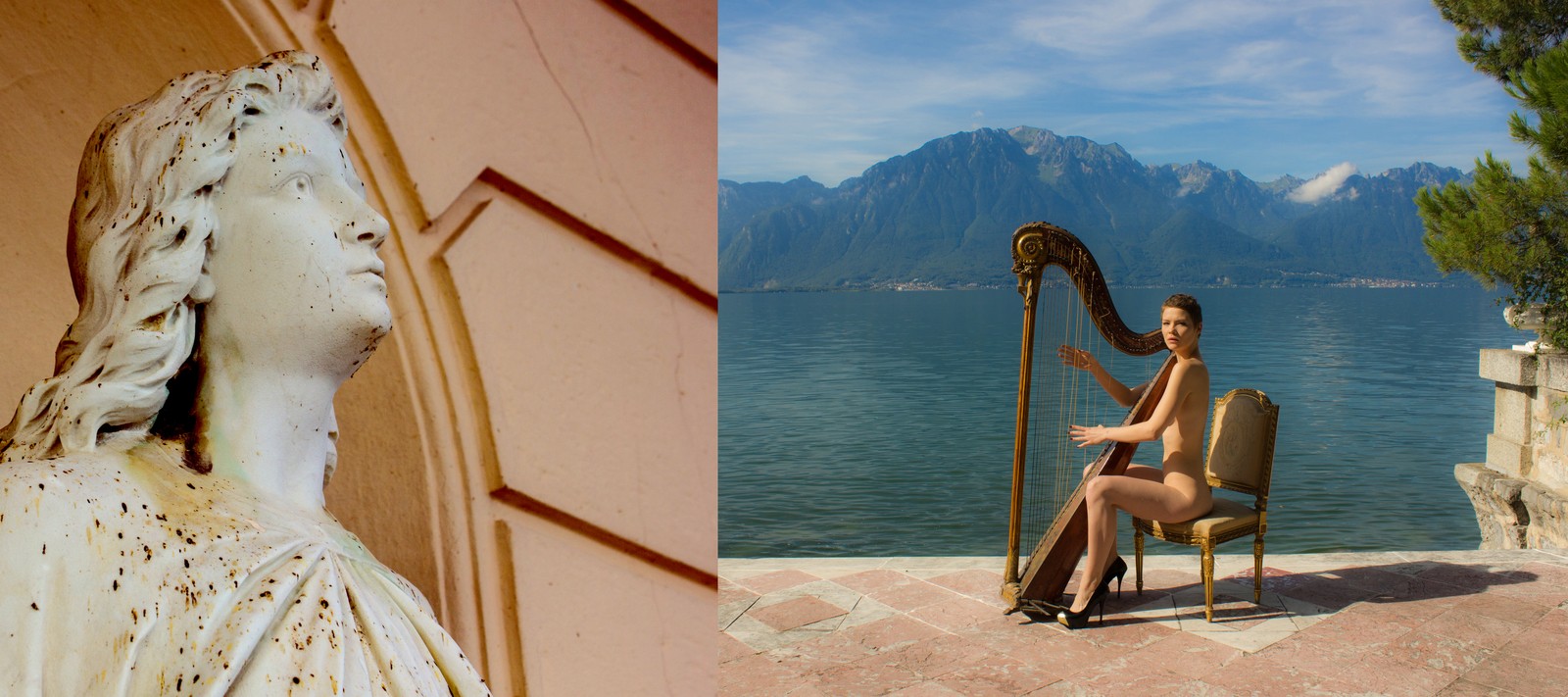 Harp 1